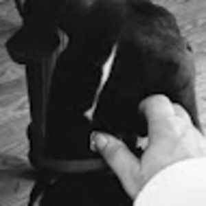 Meet your Posher, Penny